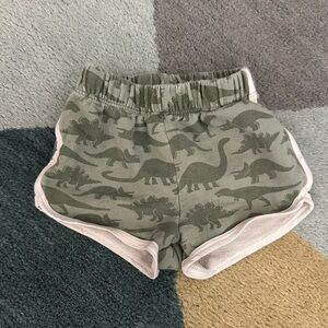 Kids Green Dinosaur Print Shorts